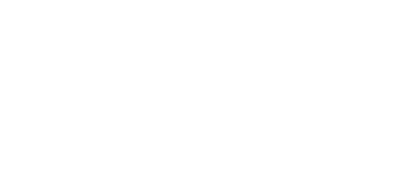 Majestic Courier Company